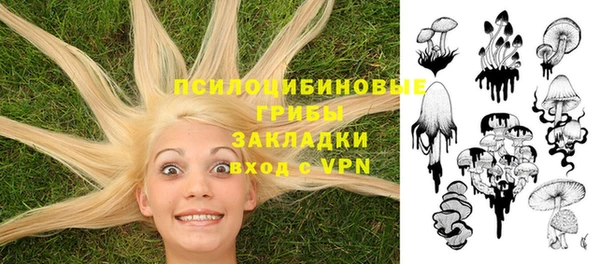 твердый Покачи